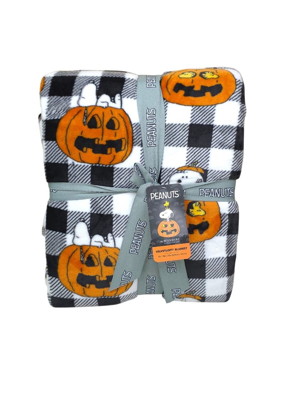 Peanuts Halloween VelvetLoft Queen Blanket 90"x90" Snoopy & Woodstock Pumpkins